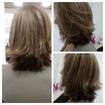Corte