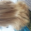 OmbreHair com coloração 7.0 na raiz. Iluminação de pontas. 