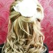 Party hairstyle