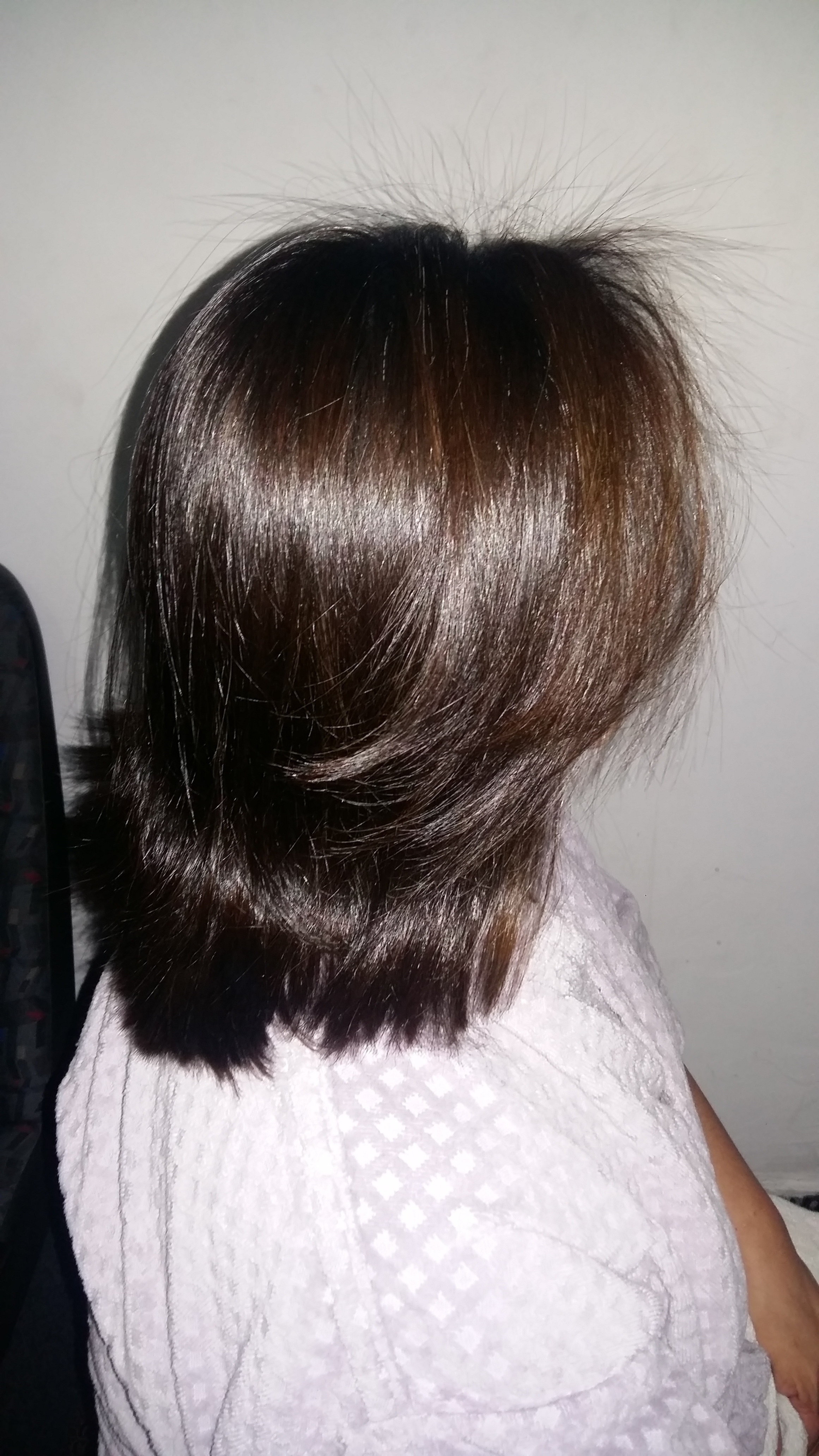 cabelo cabeleireiro(a)