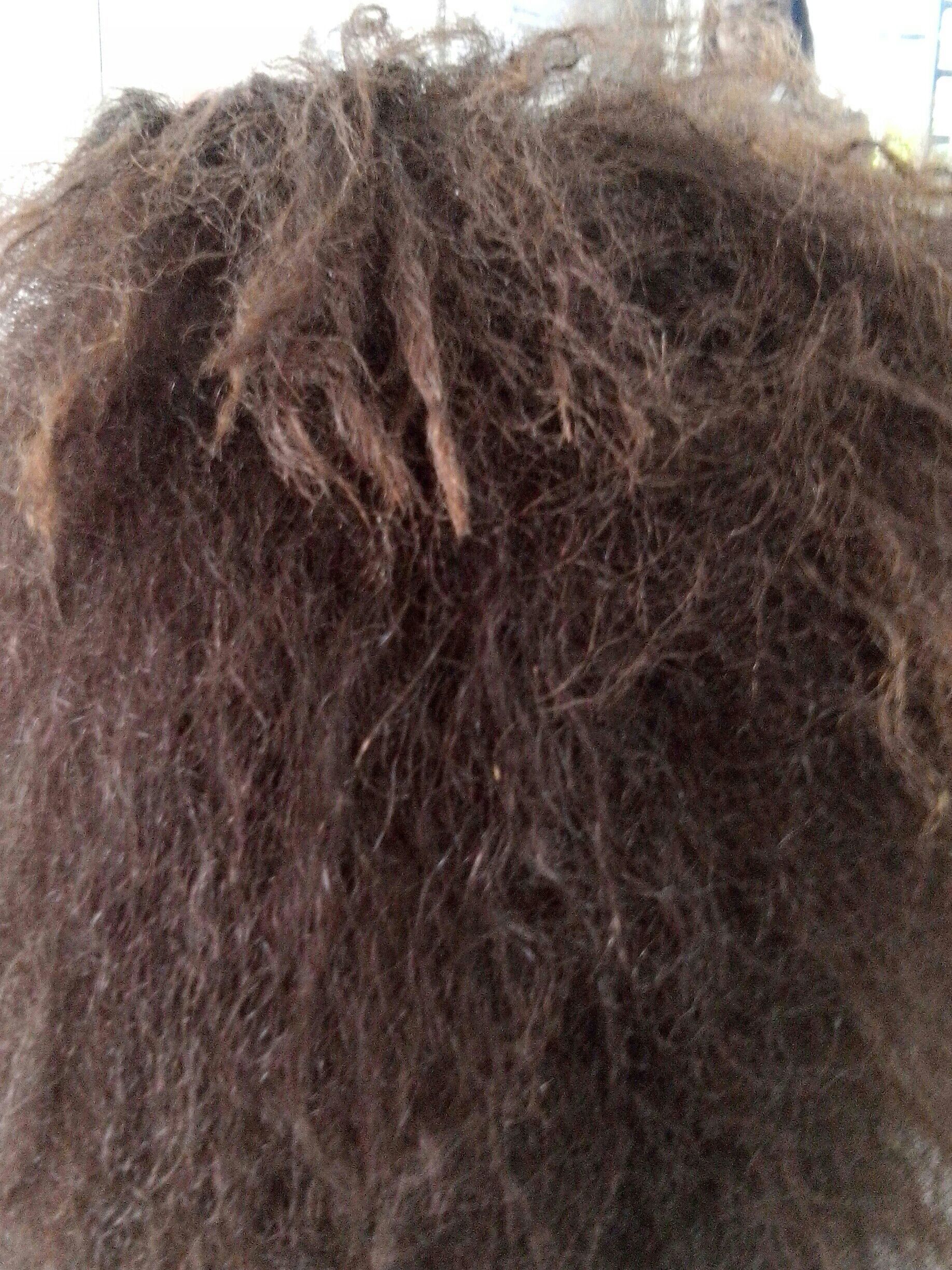 Cabelos totalmente danificados cabelo cabeleireiro(a) stylist / visagista maquiador(a)