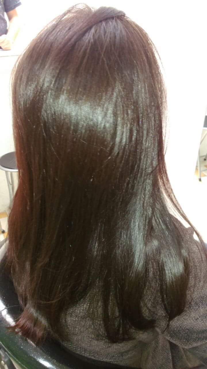 Light brown cabelo cabeleireiro(a) designer de sobrancelhas