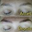 Amor demais por cada sobrancelha pronta! 

#sobrancelhasperfeitas #henna #designerdesobrancelhas #designer #sobrancelhas #brows #brow #priuemura
