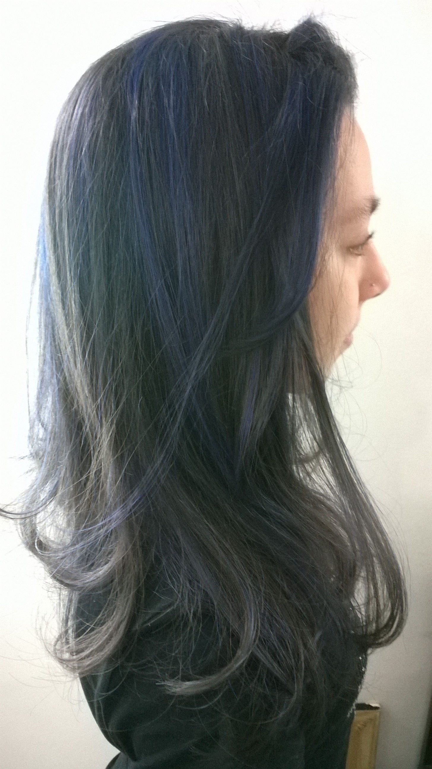reflexo azul e corte cabelo cabeleireiro(a) maquiador(a) stylist / visagista docente / professor(a)