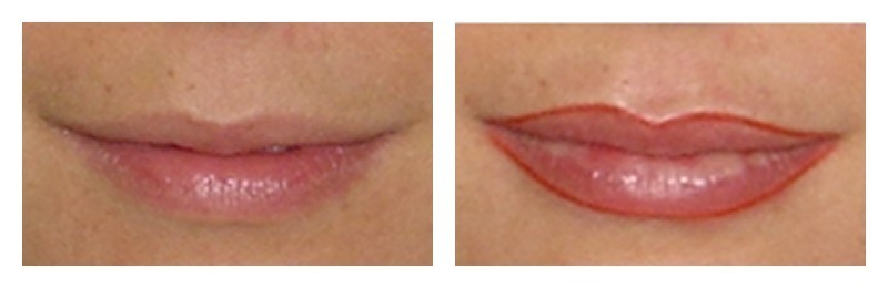 esteticista cosmetólogo(a) consultor(a) outros