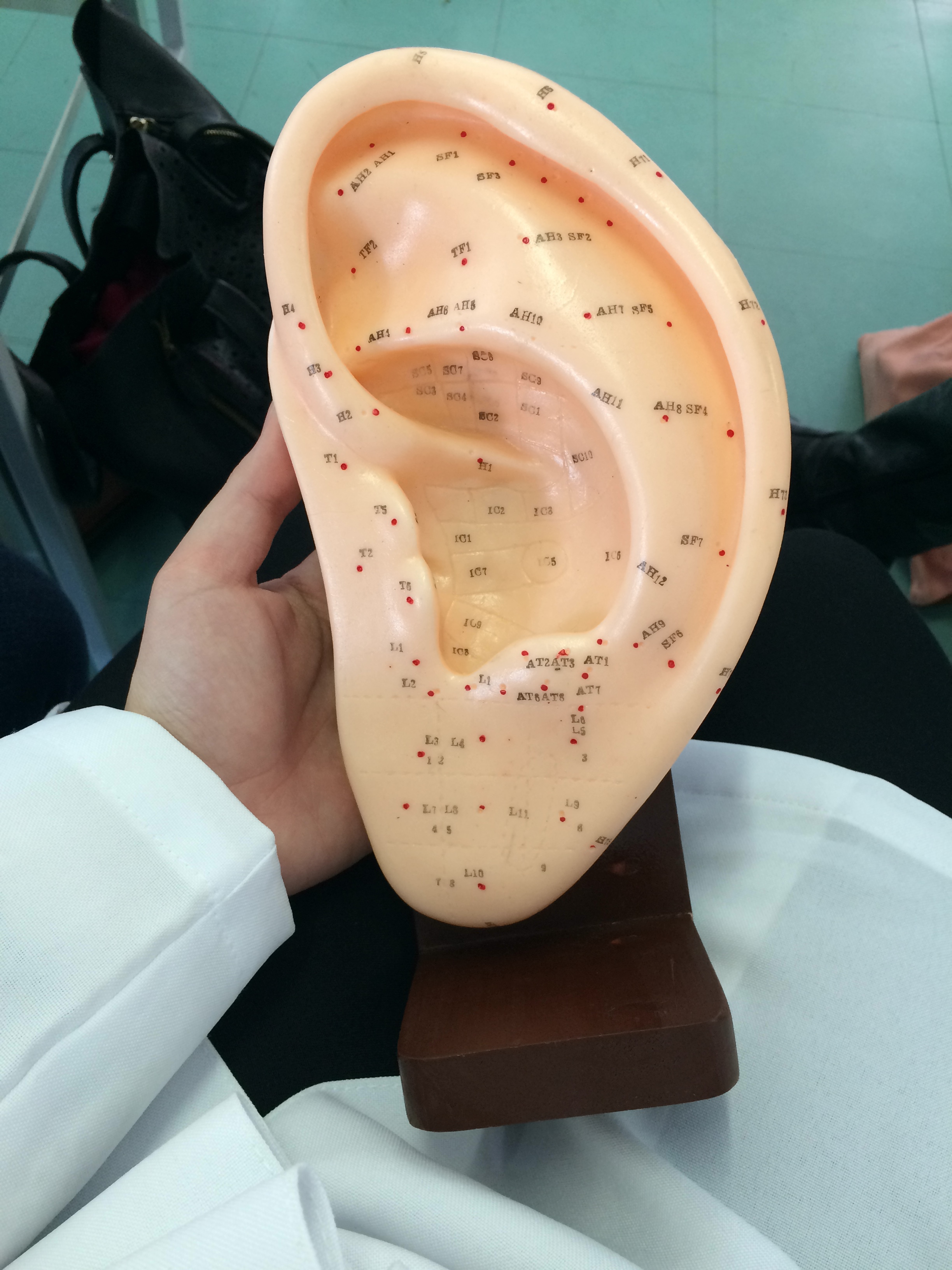 Aprendendo os pontos do pavilhão auricular. #ClinicaNere #Auriculoterapia #Pontos #PavilhãoAuricular estética esteticista depilador(a)