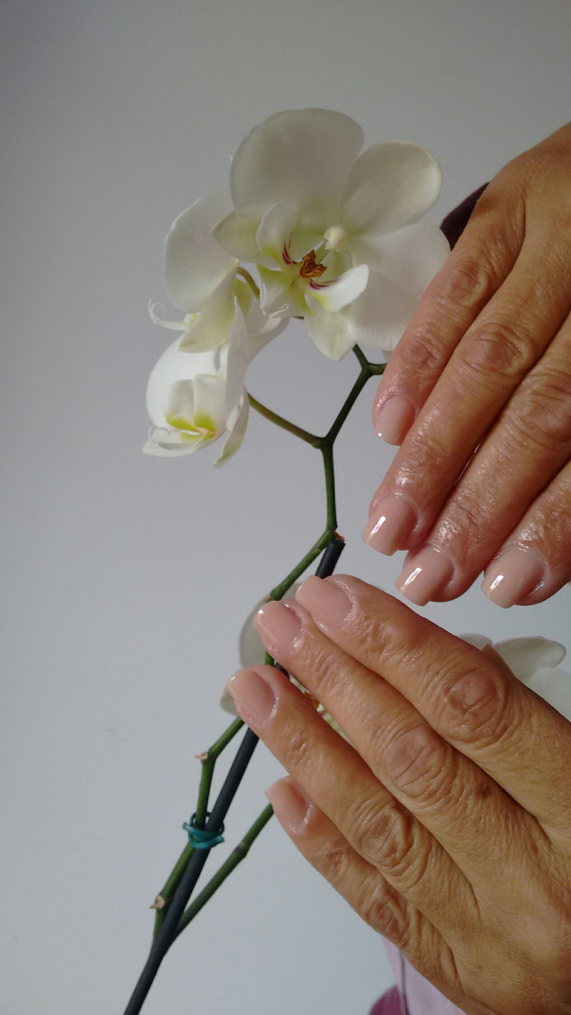 Natural.  Alongamento em acrilico! #alongamentodeunhas #nails #unha manicure e pedicure massoterapeuta