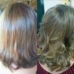 Mechas