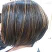 Corte