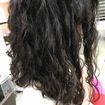 Corte