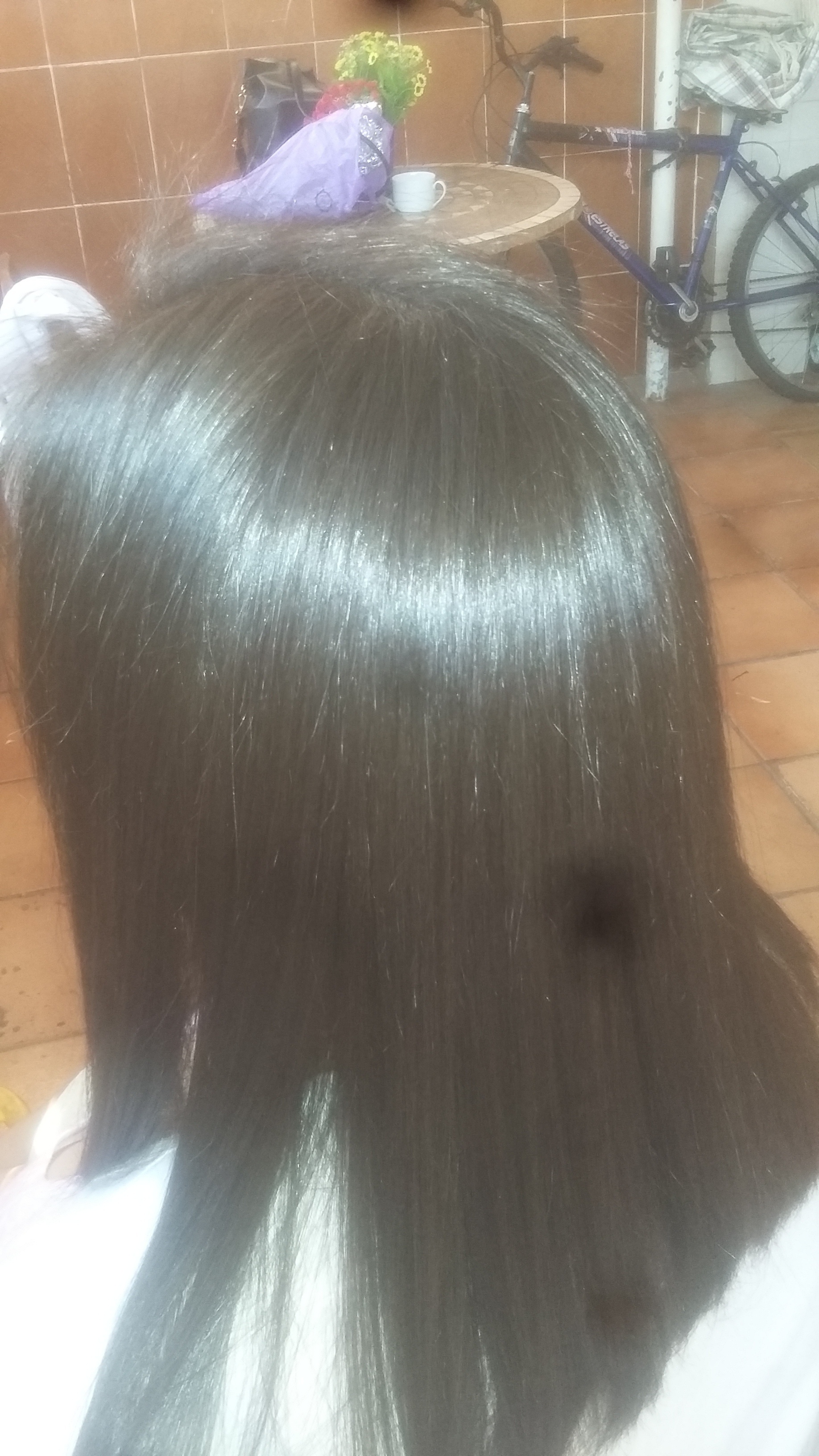  Cauterização  cabelo auxiliar cabeleireiro(a)