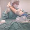 Instrumentação Cirúrgica Ortopedia
Procedimento de 
Artroscopia Cirúrgica (Joelho)
Hospital Itamaraty

