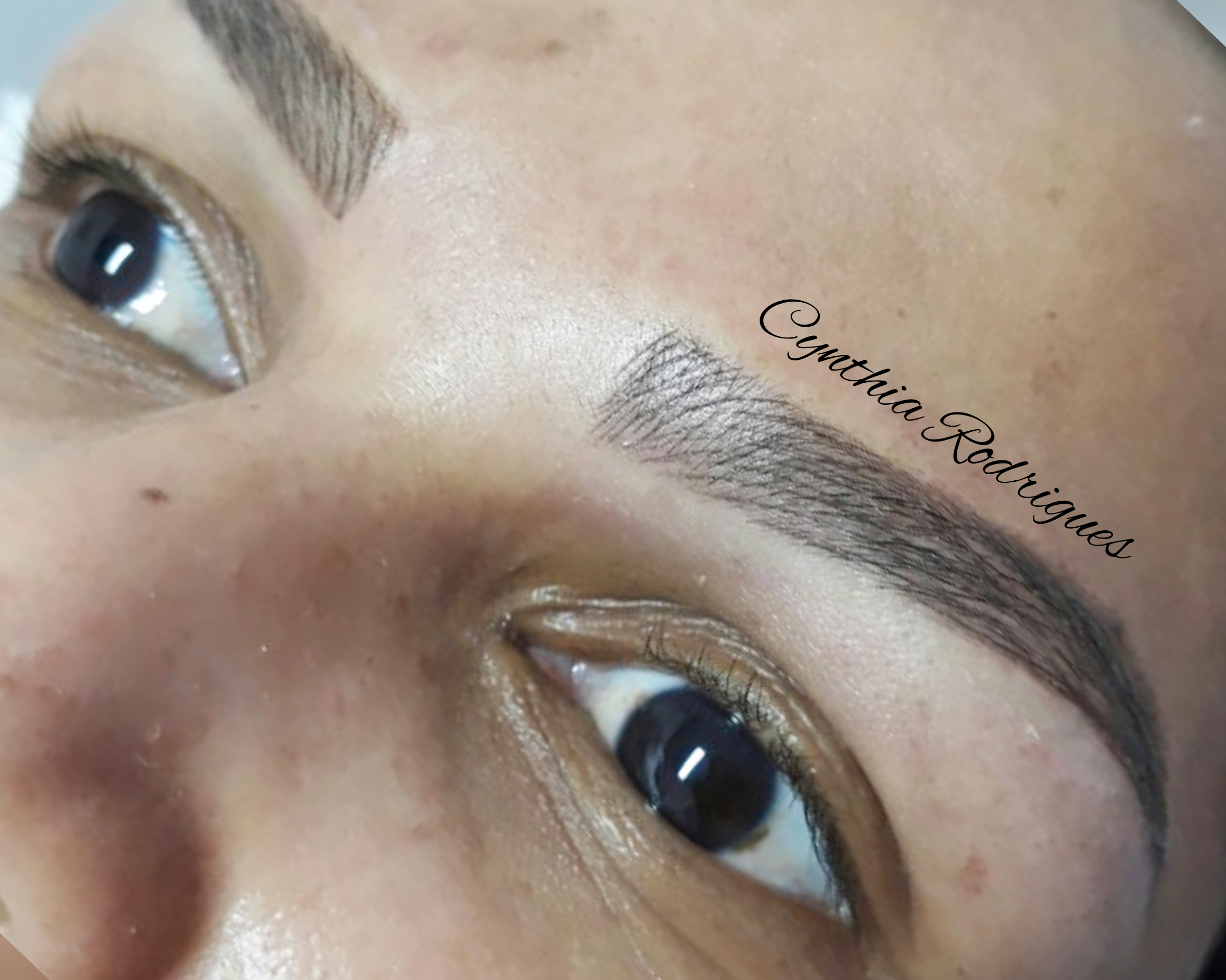 designer de sobrancelhas esteticista dermopigmentador(a) assistente maquiador(a)