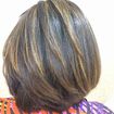Mechas