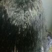 Antes da progresiva