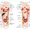 Reflexologia Podal
A técnica é aplicada a partir da pressão sobre pontos específicos dos pés relacionados com as várias partes do corpo. Quando estes pontos são pressionados, o cérebro envia mensagens para as glândulas correspondentes, elas por sua vez, entendem que precisam liberar hormônios benéficos para auxiliar a reparação ou prevenção de determinados órgãos do corpo. 
Esse processo pode aliviar dores, promover relaxamento ou, curar doenças.
O método é natural, porém a reflexologia podal possui algumas contraindicações. Pessoas com diabetes, varizes ou gestantes, precisam de aval médico, pois a reflexologia podal estimula a circulação sanguínea e pode deslocar possíveis coágulos de sangue presentes nas veias.
A terapia deve ser aplicada por um profissional competente para que se alcance o resultado desejado, portanto certifique-se da capacitação do seu terapeuta, assim você poderá usufruir dos benefícios que a reflexologia podal pode lhe proporcionar com segurança. Conheça alguns desses benefícios.
BENEFÍCIOS DA REFLEXOLOGIA PODAL
A reflexologia podal possui muitos benefícios. Este tipo de terapia pode ser utilizado para tratar ou prevenir muitas doenças, observe algumas delas:
Problemas digestivos e intestinais (azia, má digestão, gastrite, úlcera no estômago, diarréia e prisão de ventre).
Enxaqueca
Tontura
Insônia
Gordura no fígado
Pedra na vesícula
Doença de Crohn
Hérnia de hiato
Gota
Dores musculares
Dores nas costas
Sinusite
Diversos tipos de infecções
Doenças respiratórias (bronquite e asma)
Câimbras
Espasmos musculares
Reumatismo
Tendinite
Estresse