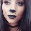 Maquiagem artística - Felinos