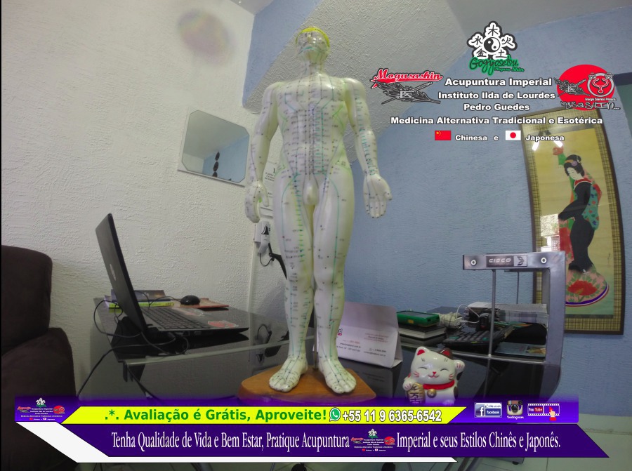 Seja Bem Vindo! Acupuntura Imperial. outros acupunturista docente / professor(a)