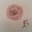 Reconstrução areola mamária #Paramedica #belezasemidade #areola