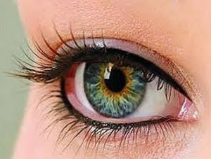 Micropigmentacao delineado olhos superior e inferior #micropigmentacao #olhos #delineado outros esteticista dermopigmentador(a) designer de sobrancelhas micropigmentador(a)