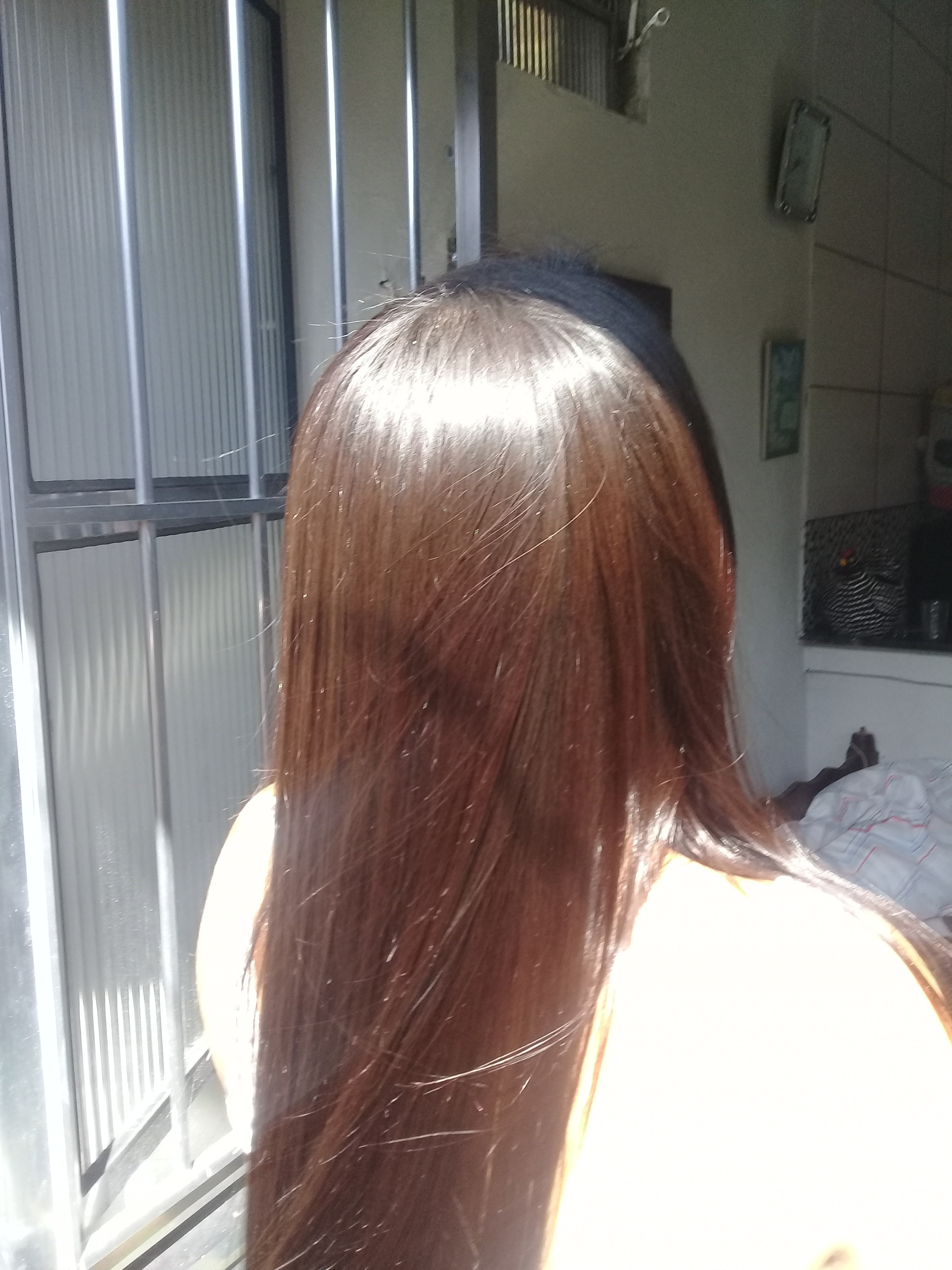 Selagem da cisne  cabelo cabeleireiro(a)