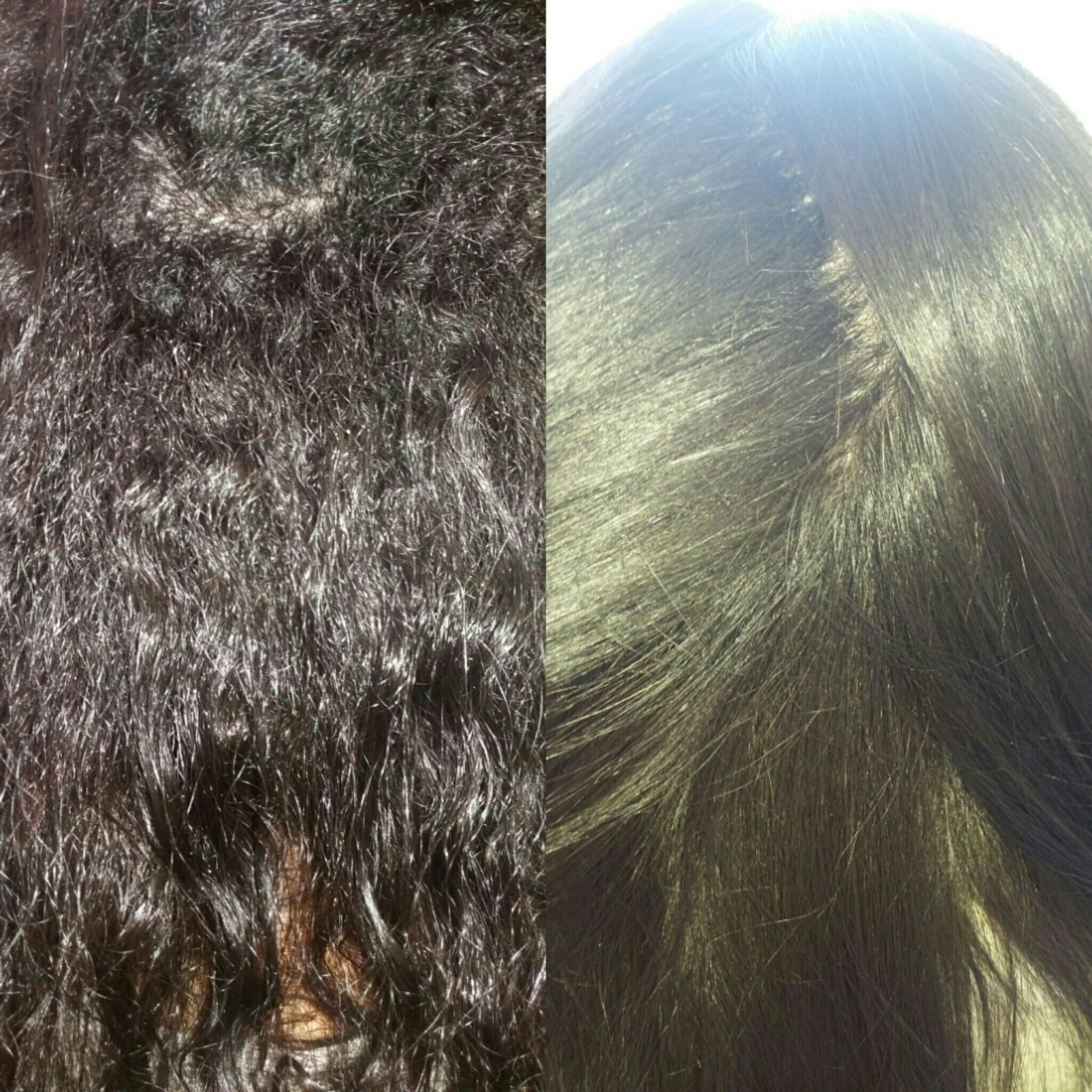 Progressiva Zap cabelo cabeleireiro(a)