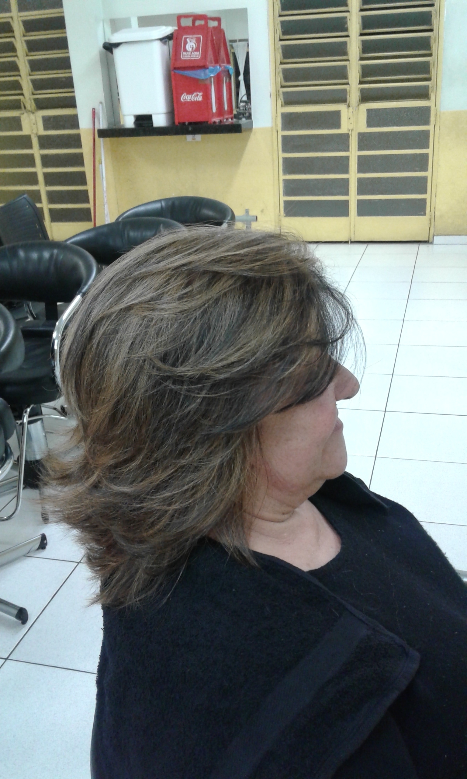 Corte, luzes e escova. cabelo cabeleireiro(a)