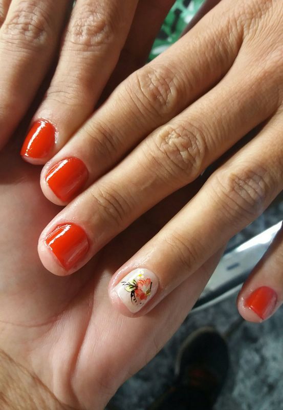 unha manicure e pedicure depilador(a) designer de sobrancelhas barbeiro(a) cabeleireiro(a) recepcionista