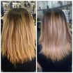 Shampoo Americano com irisação