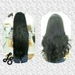 Corte Sauvage