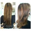 Corte Sauvage