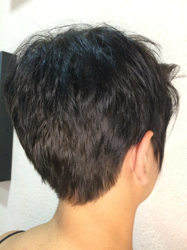 Nuca/ Pixie Hair cabelo cabeleireiro(a) escovista