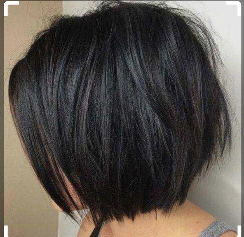 Corte cabelo cabeleireiro(a) escovista
