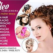 Cleonice araujo